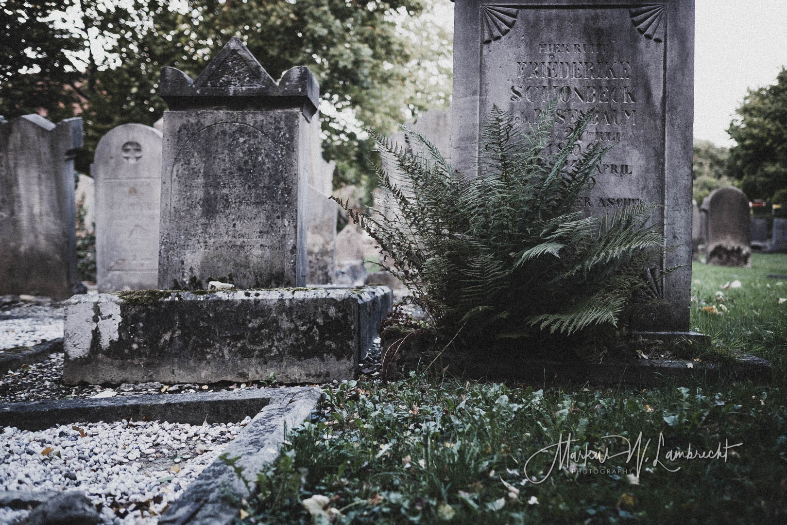 Nieheim, Jüdischer Friedhof